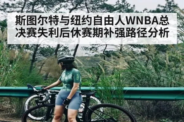 斯图尔特与纽约自由人WNBA总决赛失利后休赛期补强路径分析